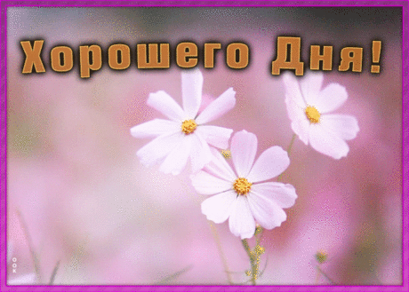 Открытка хорошего дня и отличного настроения