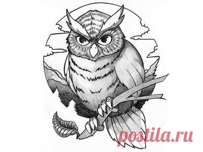 Tattoo design - Owl by Oliver Müller on Dribbble