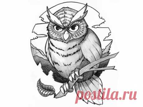Tattoo design - Owl by Oliver Müller on Dribbble