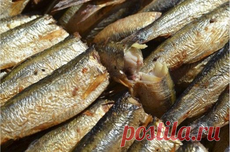 Любите ароматные золотистые шпроты? Как приготовить их дома — Вкусные рецепты