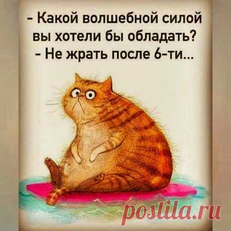 🍋 «Горячая тренировка для пышных» как растопить жир при весе более 100 кг, комплекс домашних упражнений | ЛИМОН – для ЗОЖ | Яндекс Дзен