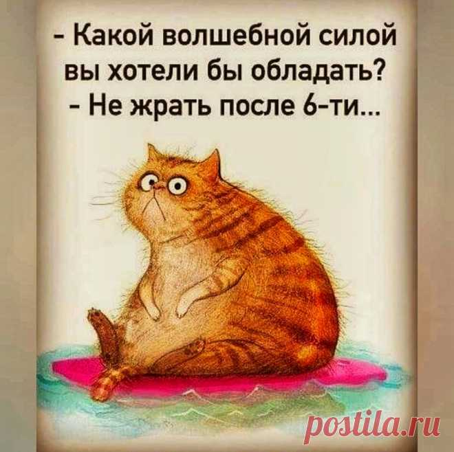 🍋 «Горячая тренировка для пышных» как растопить жир при весе более 100 кг, комплекс домашних упражнений | ЛИМОН – для ЗОЖ | Яндекс Дзен