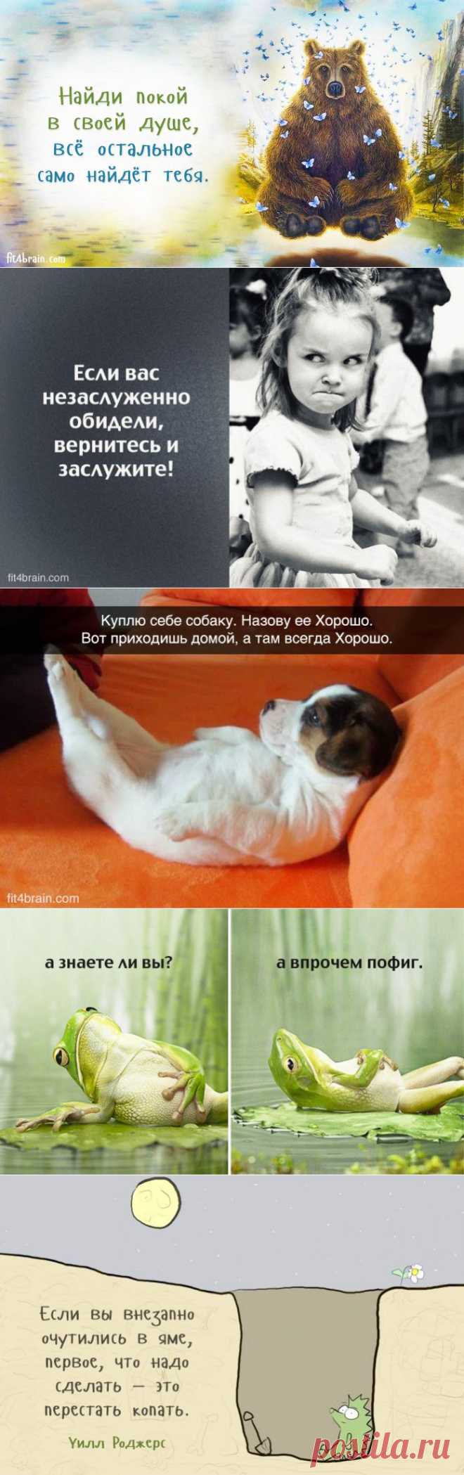 Советы дня | Полезные советы