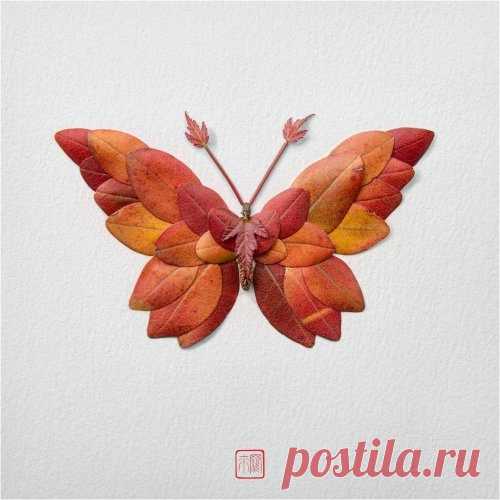 Цветочные бабочки от художника Раку Иноуэ