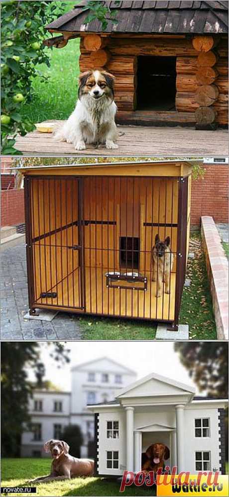 Где на даче поселить собаку? Какие оригинальные дома для питомцев можно оборудовать у себя на даче.