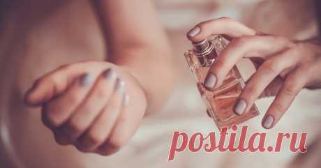Самые шлейфовые и стойкие женские духи: 12 лучших по версии Cosmo Шлейф духов формируют летучие вещества, которые содержатся в компонентах парфюма. Чем больше таких веществ в составе, тем длиннее и насыщеннее душистый след, а также увеличивается расстояние, на котором он чувствуется.