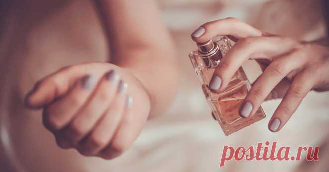Самые шлейфовые и стойкие женские духи: 12 лучших по версии Cosmo Шлейф духов формируют летучие вещества, которые содержатся в компонентах парфюма. Чем больше таких веществ в составе, тем длиннее и насыщеннее душистый след, а также увеличивается расстояние, на котором он чувствуется.
