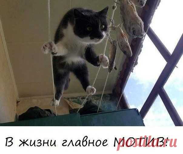 Наталья Ангеловская