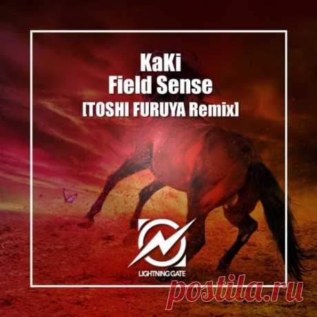 KaKi - Field Sense (TOSHI FURUYA Remix) [Lightning Gate (R135)]