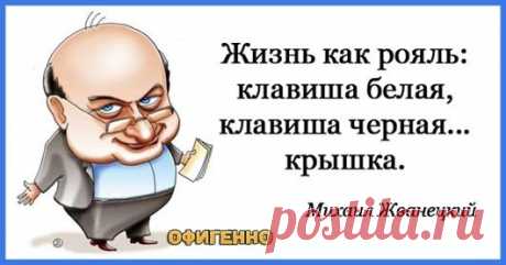 Жемчужины мысли Михаила Жванецкого