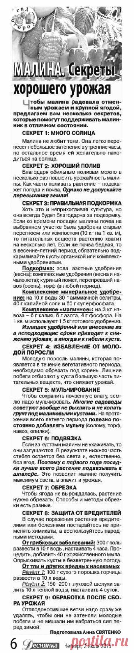 Малина - секреты хорошего урожая

| клубника на зиму