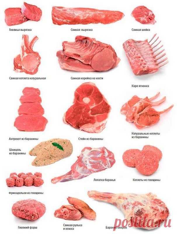 Как выбрать хорошее мясо для шашлыка