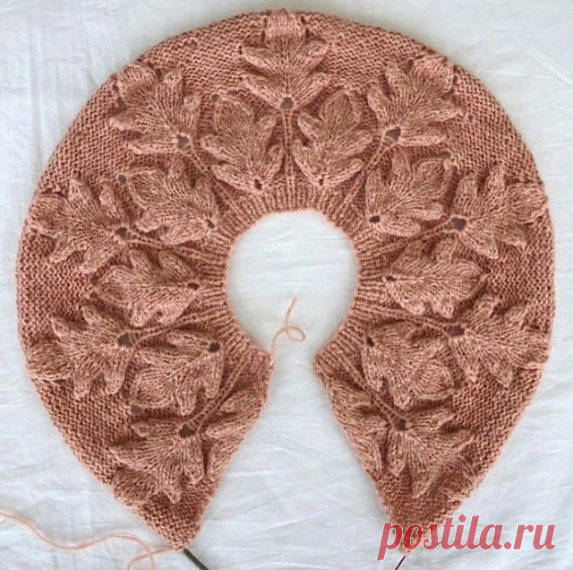​Кокетка с невероятно красивыми листиками