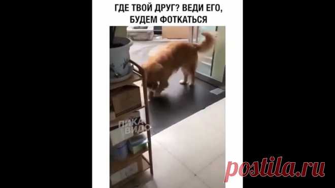 Идём фоткаться .