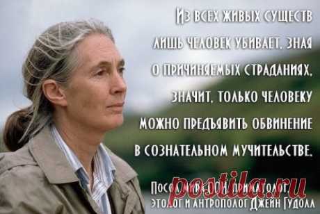Женщина увидела щенка, лежащего на обочине. Она подумала, что он попал под колеса авто, но правда поразила всех