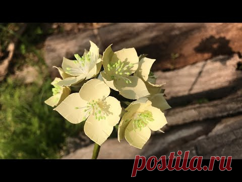 ABC TV | How To Make Filler Paper Flowers #27 - Craft Tutorial