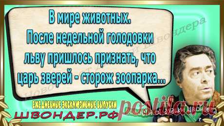 Новости от дядьки Швондера, классный анекдот, смешная фраза, смешной каламбур, известные афоризмы, смех да и только, забавные картинки, сложный юмор, непонятные анекдоты, цитаты из интернета, необычное развлечение, Швондер говорит, Шариков, Собачье сердце, улыбка до ушей, эксклюзивный выпуск новостей, ржака, потеха, фарс, наколка, проделка, шутка, юмор, анекдоты в картинках, юмор в картинках, свежие приколы, фенечка, смешная фишка, улыбка, ржачка, интересное в сети, смешок, смех, швондер.рф