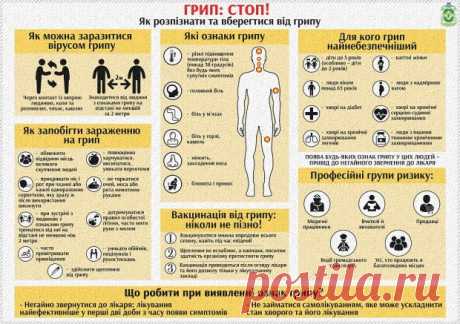 Грипп продолжает убивать украинцев: обновленные официальные данные - Телеканал новостей 24