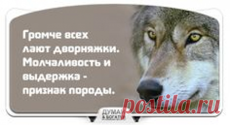 (102) 20f84193fc8b8e1069c469e1ecb7e618.jpg 640×930 пікс. | card