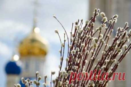 Возможна ли аллергическая реакция на вербные веточки