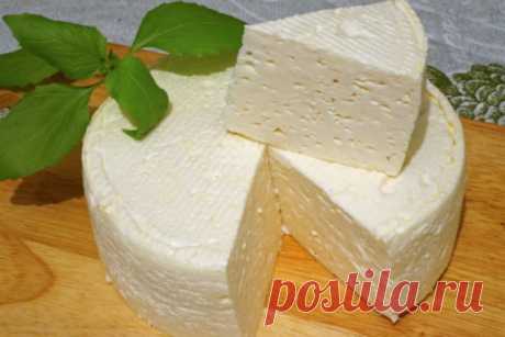 Рецепт сыра привезенный из Франции