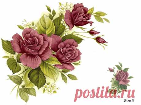2ROSE PINK - Bailey Decal Ltd