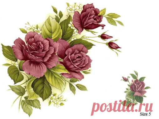 2ROSE PINK - Bailey Decal Ltd