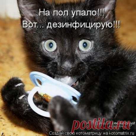 ВЕСЕЛАЯ &quot;ЗВЕРоКОТоМАТРИЦА&quot;