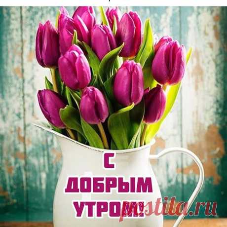 Photo by Марина Алекминская in Россия, Хабаровск. Image may contain: flower and plant, text that says 'с утра проснувшись улыбнитесь, и начинайте просто жить. ждите событий учитесь сами их творить... добрым утром! пусть каждая минута будет счастливой..'