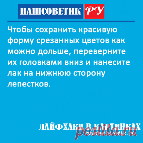 Как дольше сохранить живые цветы? Полезный лайфхак Лайфхаки в картинках