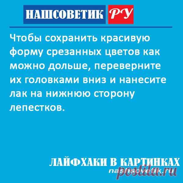 Как дольше сохранить живые цветы? Полезный лайфхак Лайфхаки в картинках