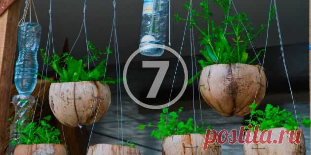 7 способов использовать пластиковые бутылки в саду - Лайфхакер