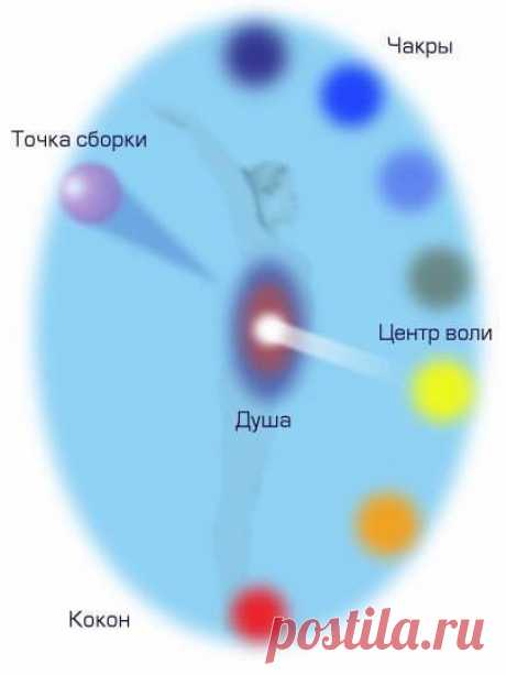 Понятие Точки Сборки