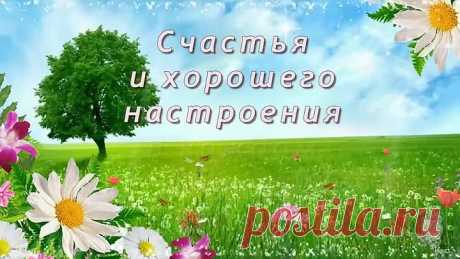 s-dobrym-utrom-prekrasnogo-dnya
