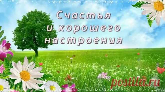 s-dobrym-utrom-prekrasnogo-dnya
