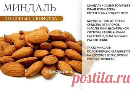 Академия здоровой жизни - миндаль