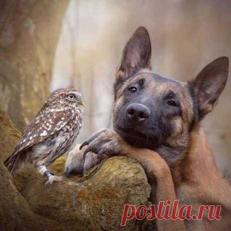 20+ интересных фотографий, которые станут для вас противоядием от плохого дня