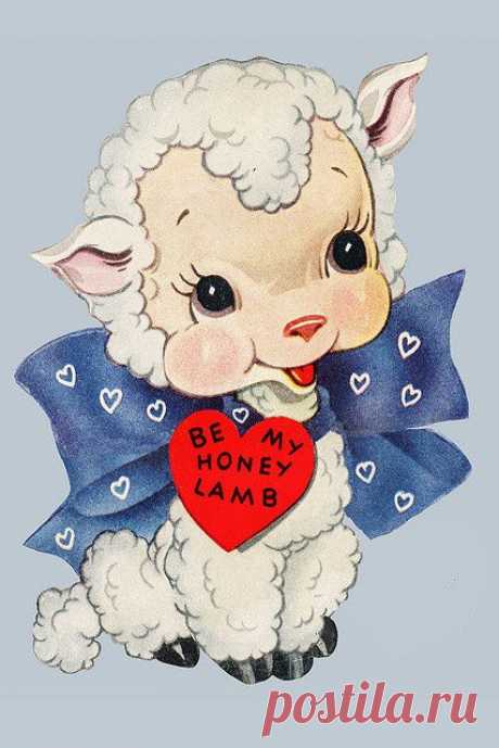 Sheep!