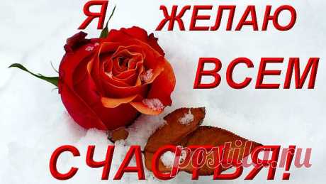 Новые фотографии