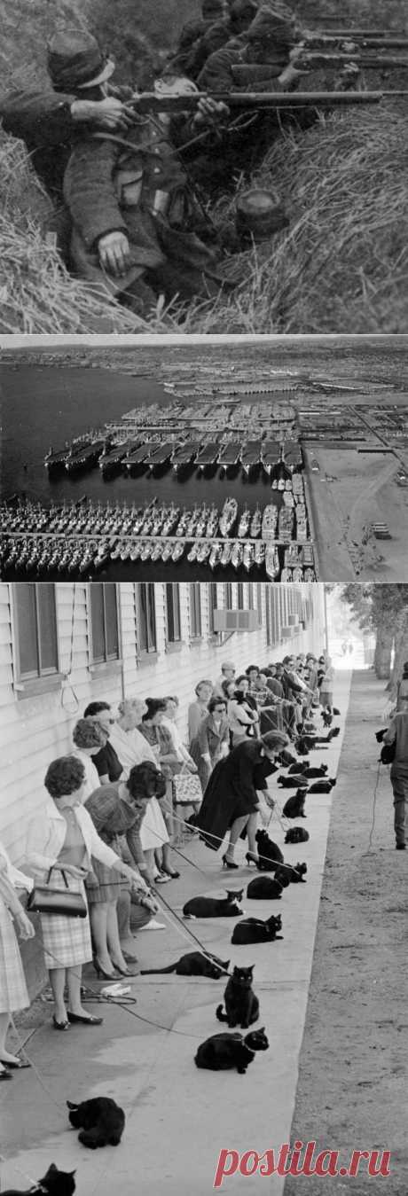 Коллекция редких фотографий, на которых оживает история / Всё самое лучшее из интернета