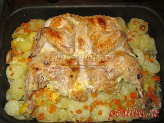 Как замариновать курицу? Лучшие рецепты