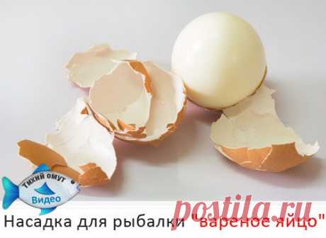 Насадка для рыбалки &quot;вареное яйцо&quot;