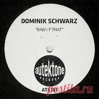 lossless music  : Dominik Schwarz - Raw / F That (free dl)