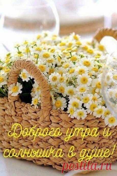 Фото группы ღ(ړײ)ღ Bellе Parkღ
