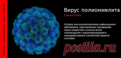 Болезни, передающиеся через поцелуй