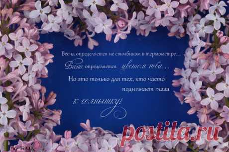 Весна- в душе!
