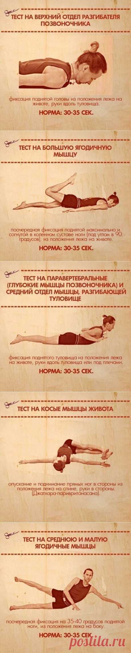 10 простых упражнений, которые покажут ваши слабые места