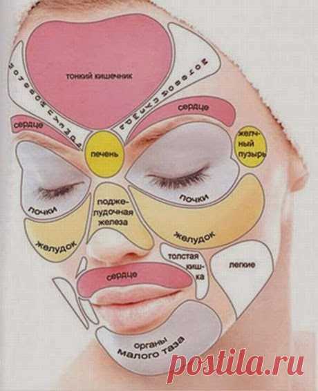 Зоны отражения внутренних органов на лице | Я ЗДОРОВ!