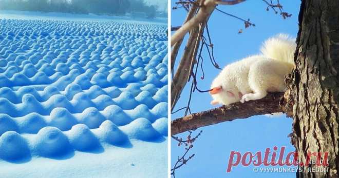 25 по-настоящему крутых снимков, которые дадут фору фотошопу Мы привыкли, что любые кадры обрабатываются фотографами в графических редакторах. Но иногда случаются такие снимки, которые не надо улучшать или дополнять, — они и так чертовски хороши. AdMe.ru подготовил для вас подборку фотографий, авторам которых не пришлось прибегать к фотошопу: умелые руки и удачный момент и без того создали шедевры.