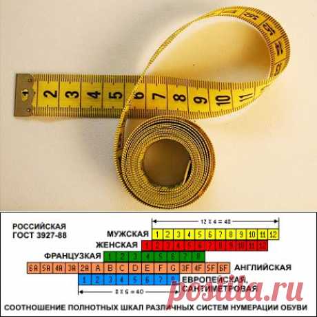 Таблицы соответствия размеров мужской, женской детской одежды и обуви : США, Европа, Россия